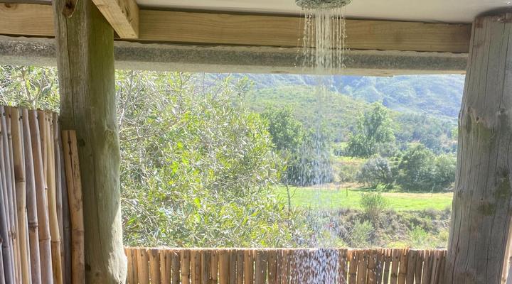 Fleckvieh Guest Farm