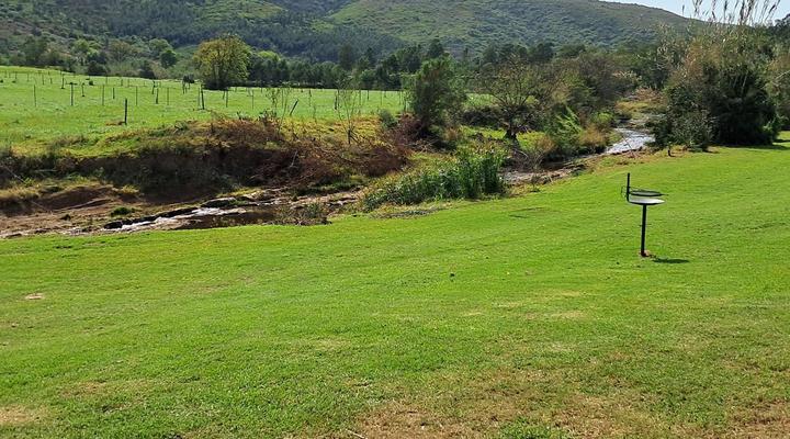 Fleckvieh Guest Farm