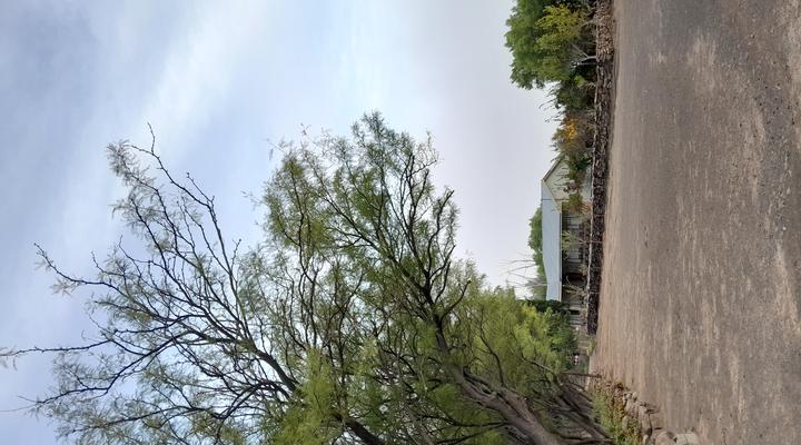 Zoetvlei Karoo Game & Guest Farm