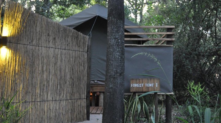 Askiesbos Guest Farm