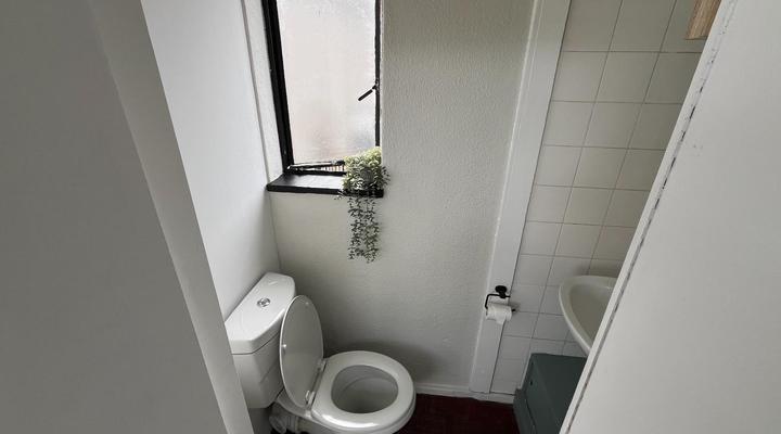 High Five Kite House