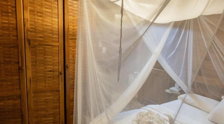 East Africa Safari Resort