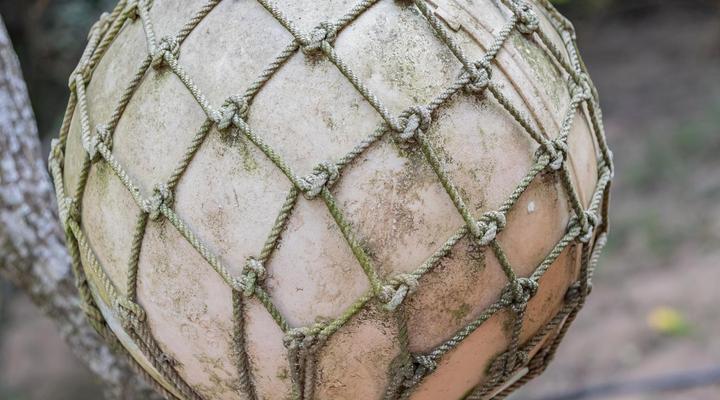 East Africa Safari Resort