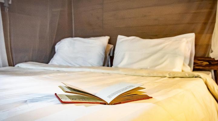 East Africa Safari Resort