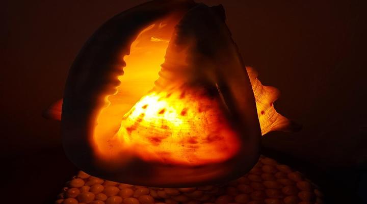 East Africa Safari Resort