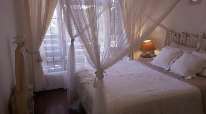 Loerieroep at Nelspruit