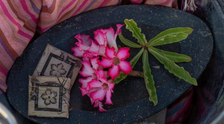 Lake Natron Tented Camp