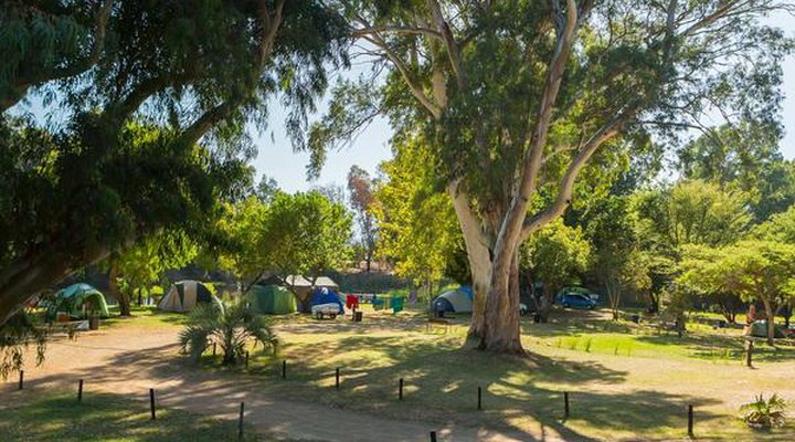 Bonnievale River Lodge