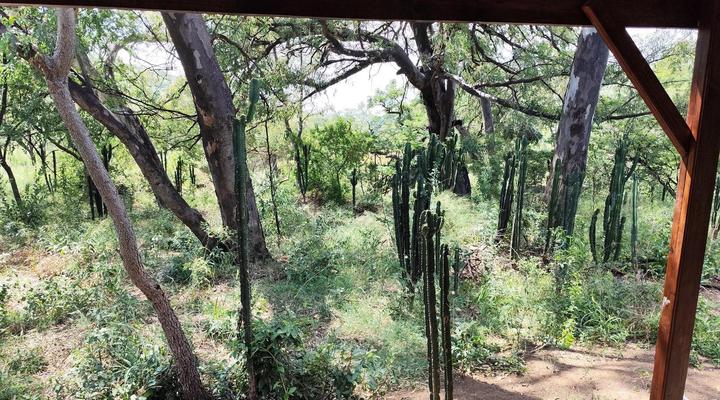 Bethesda Mountain Lodge