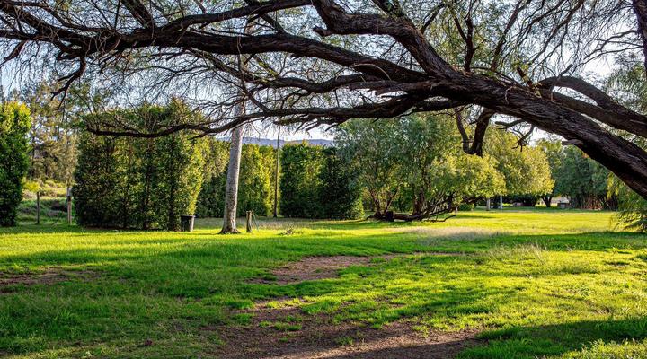 Lebanon Citrus Holiday Farm