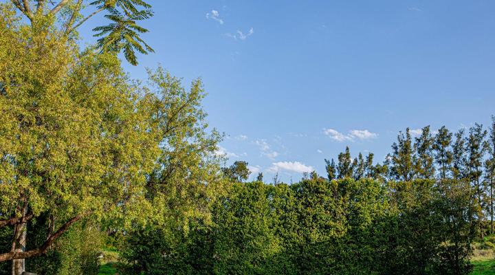 Lebanon Citrus Holiday Farm