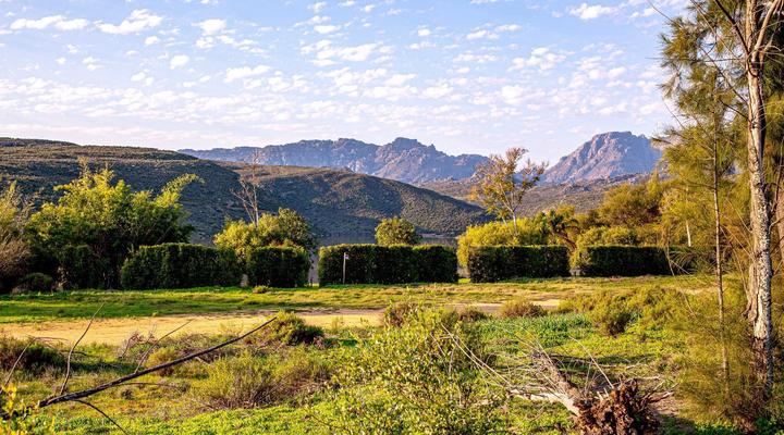 Lebanon Citrus Holiday Farm