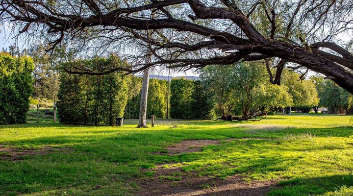 Lebanon Citrus Holiday Farm