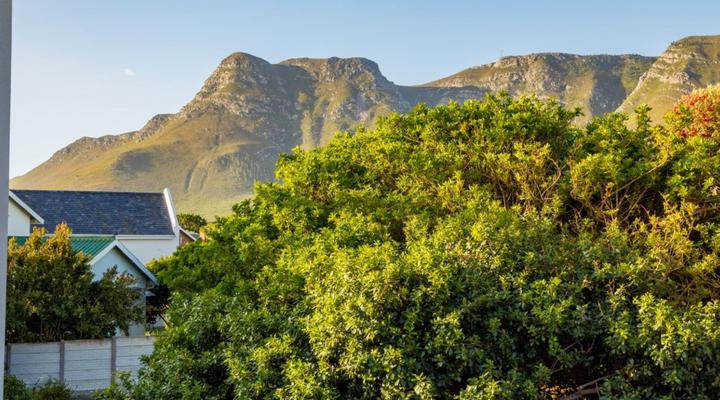 Two Palm House - Vermont Hermanus