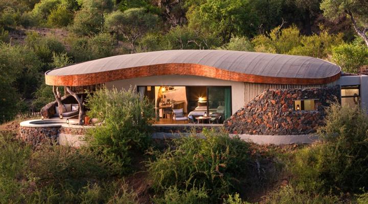 Euphorbia Mashatu - Mashatu Game Reserve