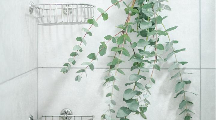 Kalimera Beach House