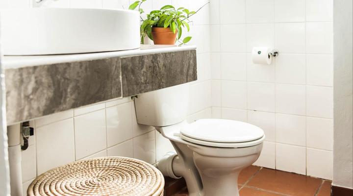 The Wild Ivy Guesthouse