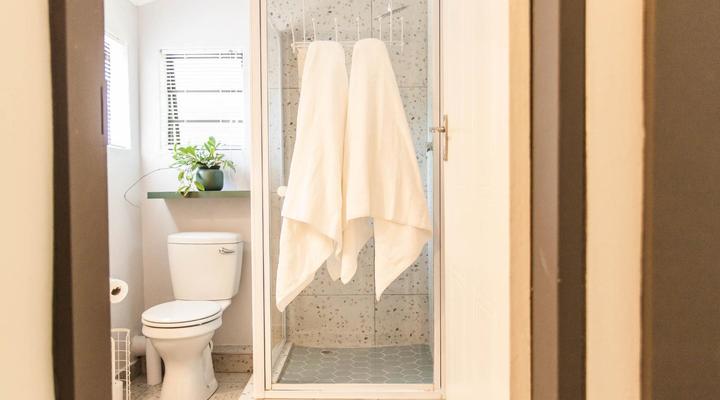 The Wild Ivy Guesthouse