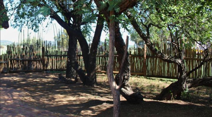Bushveld Venue