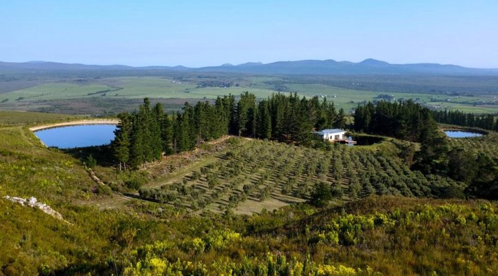 Goodwill Mountain Farm