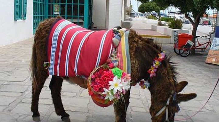 Club Mykonos Apartment