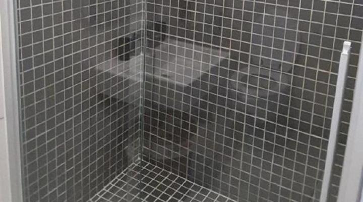 Apartments @ 77 on Independence