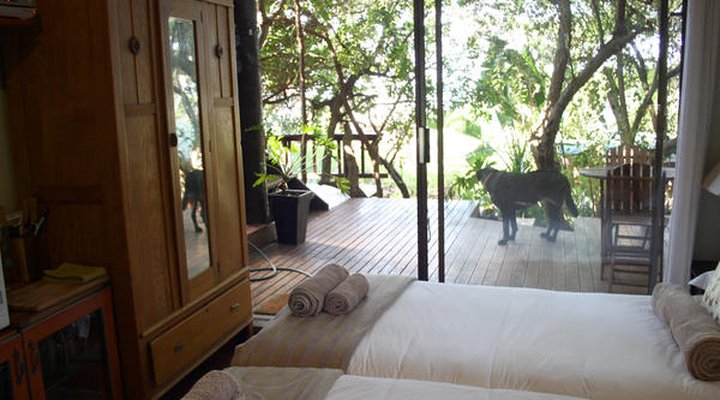 Zen Guesthouse