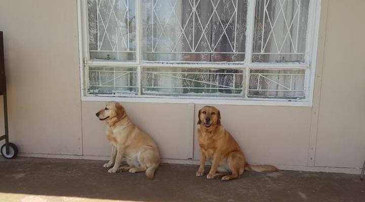 Caritas Werfbederf Guest Farm