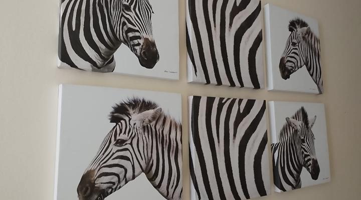 Ecotel Southgate Inn