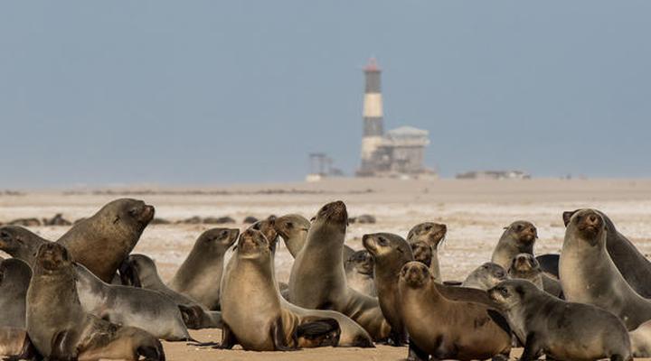 Bella Luna Bed and Breakfast CC