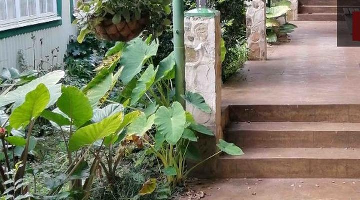 Silver Mist Guest House, Country Inn and Herberg