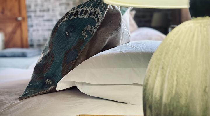 Rietfontein Lodge & Safaris