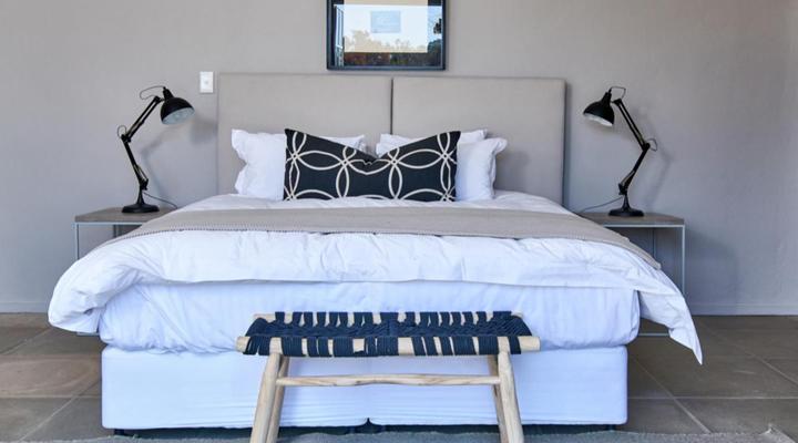 White Light | The Rooms