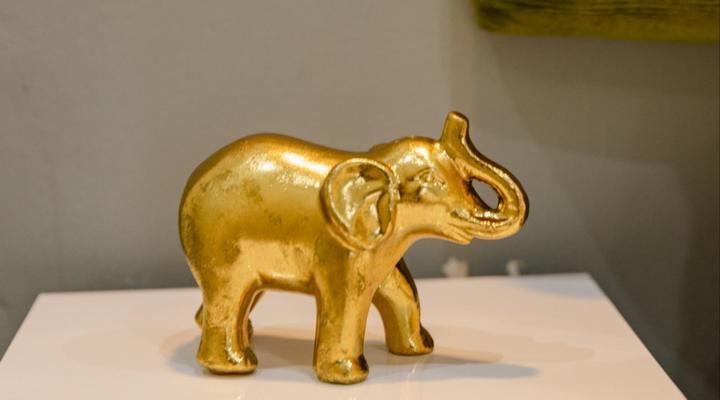 Charlottesville Farm Lodge