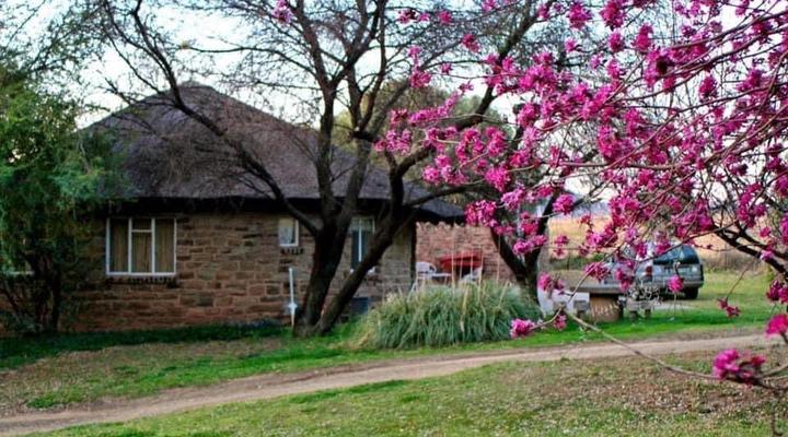 Badfontein Guest Farm and camping