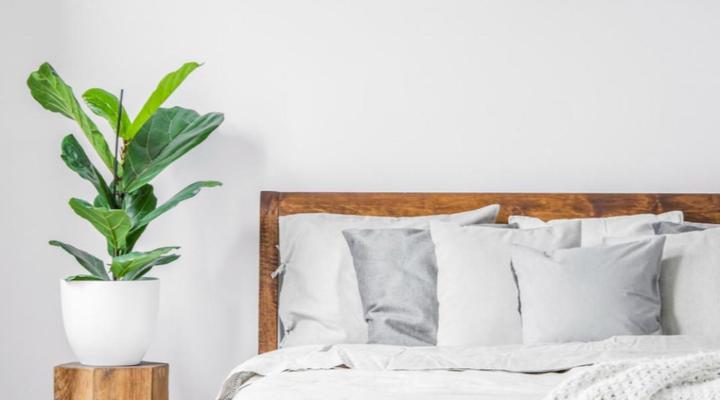 Elixir Guest House & Spa