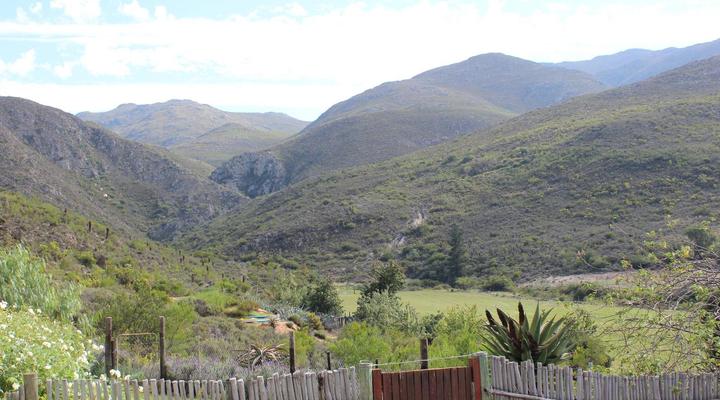 Bo Kouga Mountain Retreat