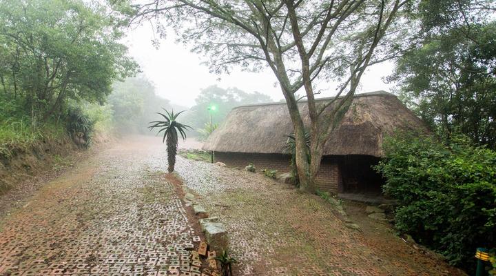 iNsingizi Game Lodge & Spa