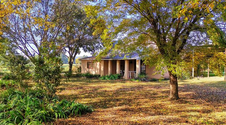Hillbilly's Cottages
