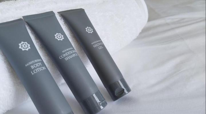 Heidelberg Crown Hotel