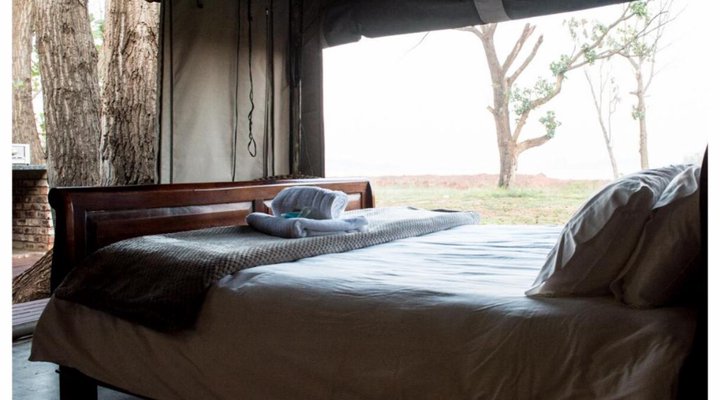 TangleWood Nature Estate