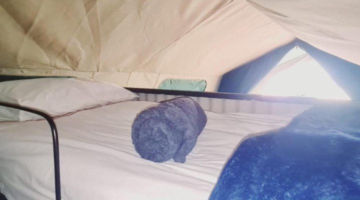 TangleWood Nature Estate