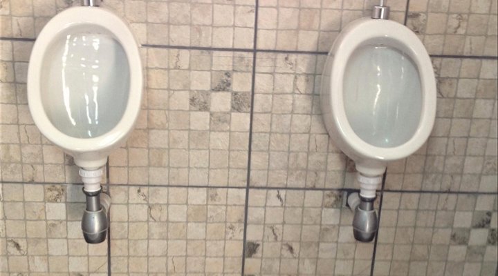 TangleWood Nature Estate