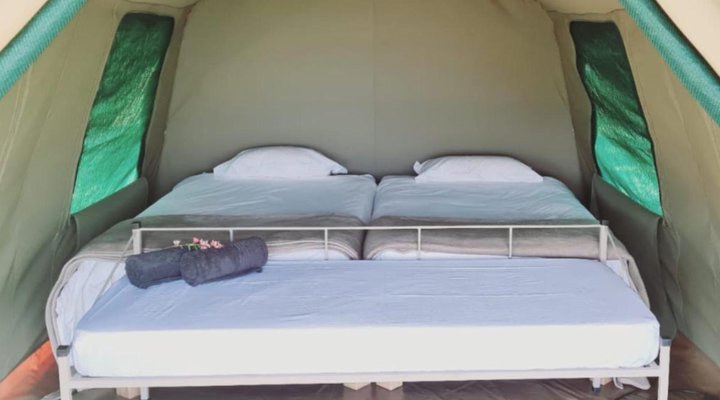 TangleWood Nature Estate