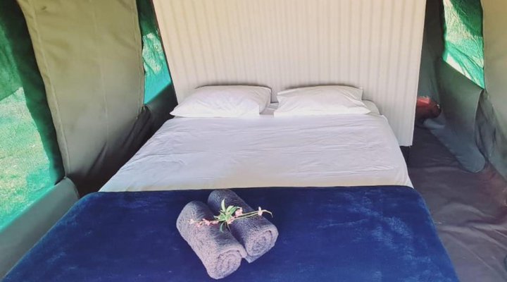 TangleWood Nature Estate