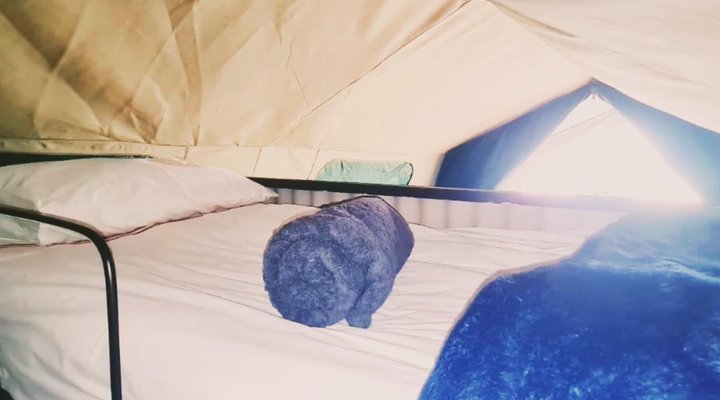 TangleWood Nature Estate