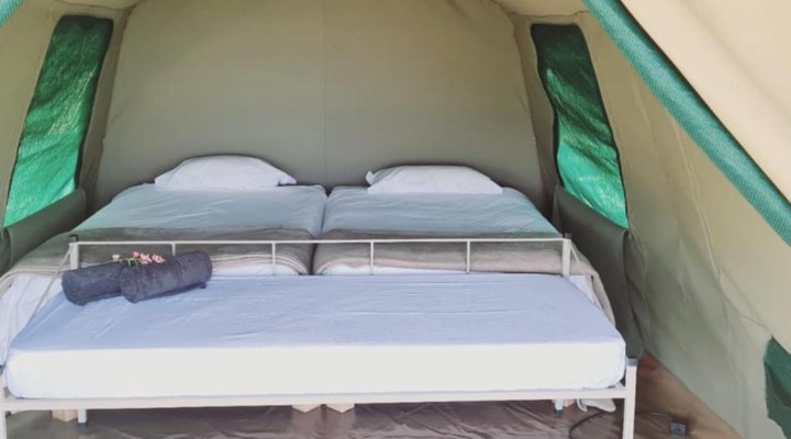 TangleWood Nature Estate