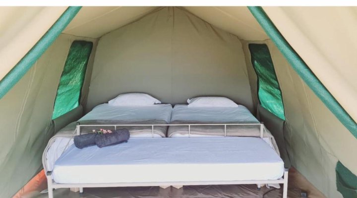 TangleWood Nature Estate