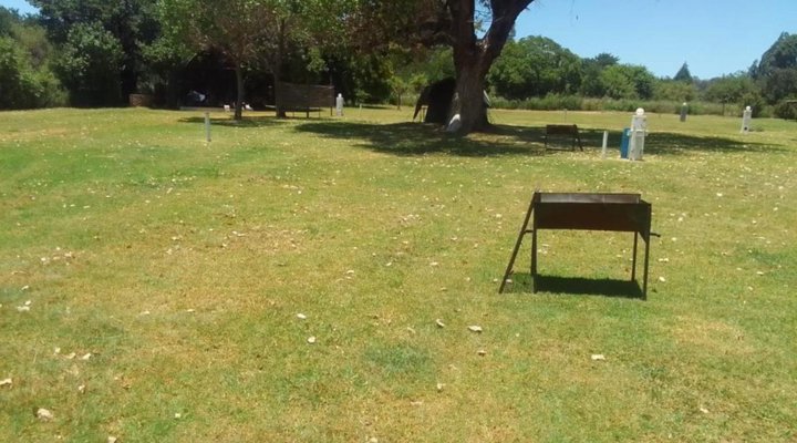 TangleWood Nature Estate