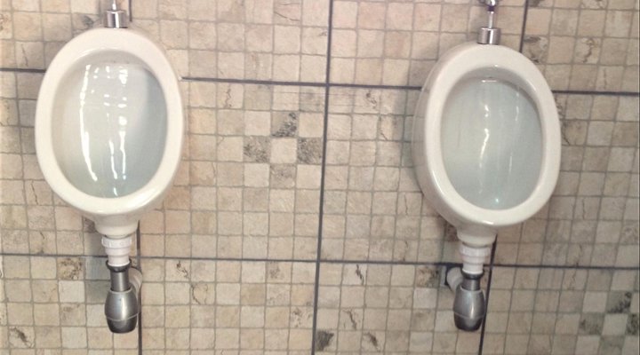 TangleWood Nature Estate